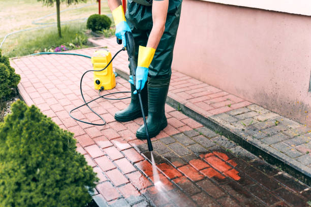 Professional Pressure washing in Alamo, GA